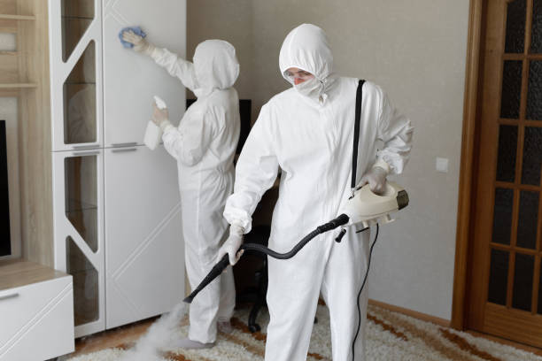 Best Professional Mold Removal  in Shamrock, TX